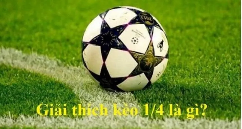 Kèo ¼ là gì mà được nhiều người lựa chọn để đặt cược đến vậy?