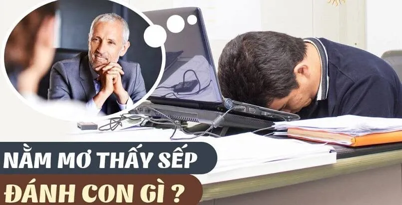 Mơ thấy sếp nên đánh con gì?